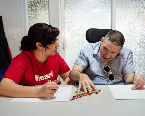 dsp-working-with-disabled-individual